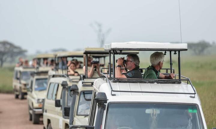 TansaniaPlus: Safari kann bequem mit Strandferien verbunden werden; grosse landschaftliche Vielfalt; hohe Tierdichte; weniger bekannte Safari-Geheimtipps (z.B. Wildreservat Selous und Nationalpark Ruaha); Kontakt zu lokaler Bevölkerung gut möglichMinus: Die meisten Naturparks liegen weit auseinander; Serengeti von Juni bis September stark frequentiertBilder: Keystone/ Dietmar Denger/ Laif