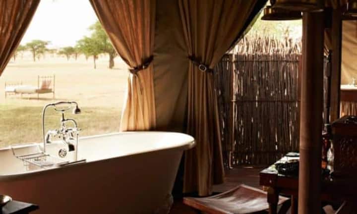 Platz 2: Singita Sabi Sand Reserve, Südafrika.Luxus will heute erlebt werden. Die beiden frisch renovierten Singita-Lodges «Ebony» und «Boulders» im südafrikanischen Sabi Sand-Wildreservat heben das «Erlebnis Afrika» auf eine neue Stufe.