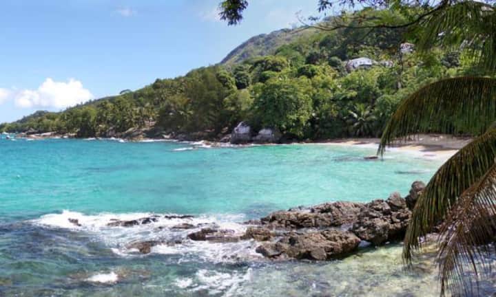 Das sind die beliebtesten Onlineshops der Schweiz:Rang 10: Ebookers wurde von 17 Prozent der Befragten genutzt.
In der Umfrage wurden 2'000 Teilnehmer im Alter von 14 bis 69 zu ihren Onlineeinkäufen der vergangenen zwölf Monaten befragt. Hier ein Reisebeispiel: Seychellen. Allgemein haben bereits 94 Prozent der Schweizer einen Online-Einkauf getätigt. Scarygami/Flickr/CC