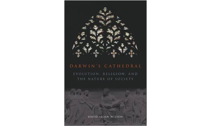 «Darwin's Cathedral – Evolution, Religion, and the Nature of Society» von David Sloan WilsonDer US-amerikanische Evolutionsbiologe und Atheist Wilson verbindet Religion und Evolution in einer evolutionären Theorie der Religion. Dazu ist es laut Autor nötig, die Gesellschaft als Organismus zu verstehen. Beispiele aus verschiedenen Epochen und Weltgegenden stützen dabei seine Thesen.