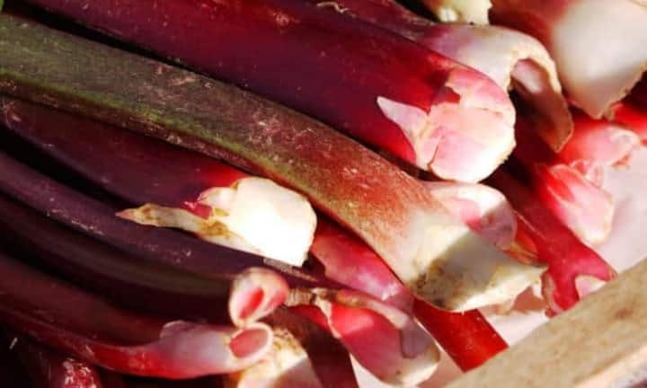 Rhabarber schafft es derweil auf Platz 62: Hiervon assen die Konsumenten im vergangenen Jahr jeweils 160 Gramm.