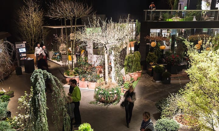 Die Besucher bekommen Inspiration und Anregungen für ihre persönliche Blumen- und Pflanzenwelt...