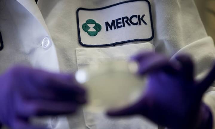 merck.jpg