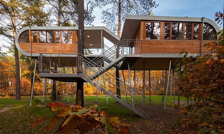 The treehouse in Hechtel-Eksel, Belgien: Das Baumhaus besteht aus fünf Elementen: zwei Kabinen auf unterschiedlichen Ebenen, den verbindenden Terrassen, den Treppenläufen sowie dem verbindenden Dachelement. Die Kabinen und die oberen Terrassen ruhen auf 19 schrägen Stahlstützen in freier Anordnung. Die unteren Treppen und die Zwischenpodeste werden mittels Stahlseilen und speziellen Verankerungen von einer Kiefer getragen.Markus Bollen