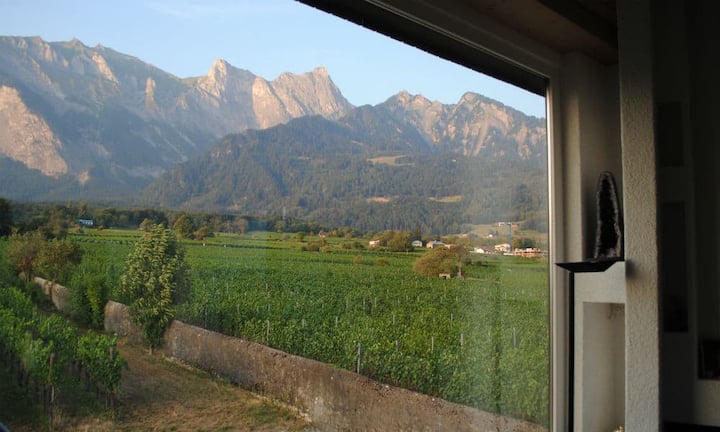 Alle Räume eröffnen den direkten Blick in die Reben und auf die umliegende Bergwelt. Grosse Fensterfronten kreieren eine Verbindung zwischen Innenraum und der Natur.