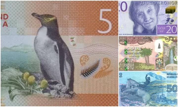 ... hat bereits einer der Scheine gewonnen: Die 5-Dollar-Note aus Neuseeland war der Sieger im Jahr 2015.
