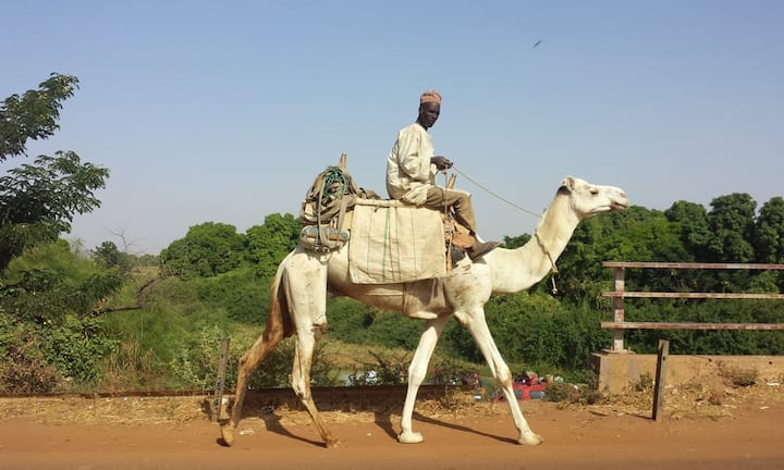 Rang 21: Nigeria - 1,687 Billionen Euro Unsplash