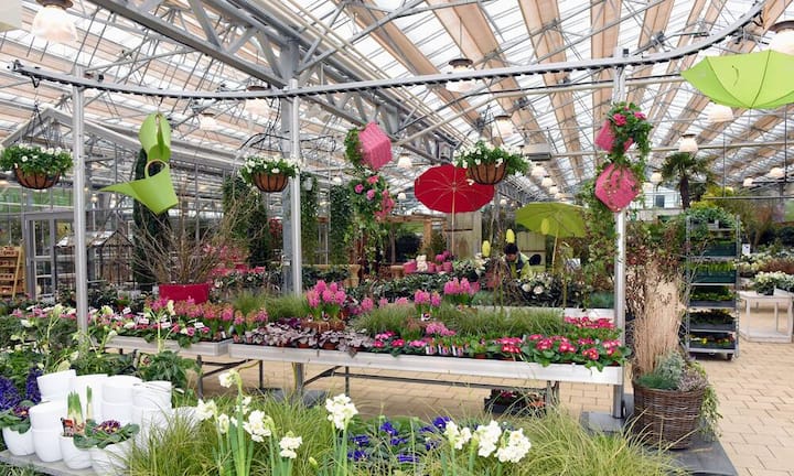 Der Gartencenter Ernst Meier AG aus dem Zürcher Oberland haben ein «Blumenampel-Transportkarrussell» entwickelt.