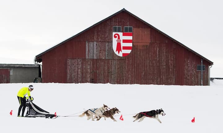 Kanton JuraAnzahl Selbstanzeigen 2016: 66 (57 im Jahr 2015)Steuereinnahmen 2016: 1,1 Millionen Franken (2015: 800'000 Franken)