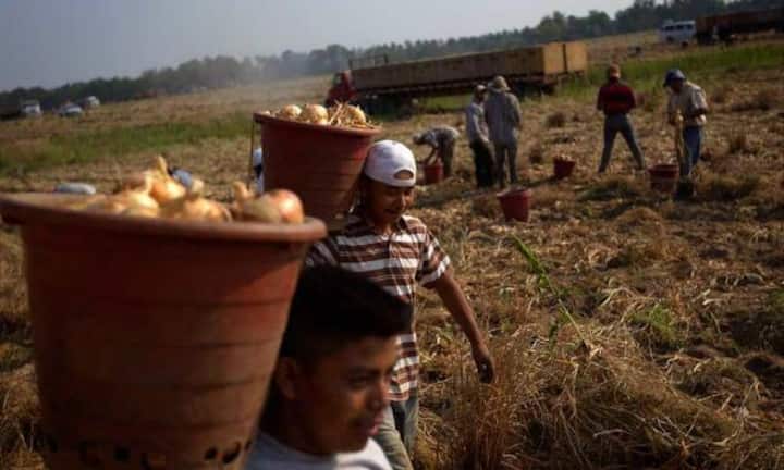 Clinton will die US-Einwanderungspolitik umfassend reformieren. Einwanderer sollen einfacher an die US-Staatsbürgerschaft gelangen. Sie erhofft sich dadurch viele Stimmen von den Latinos – Clintons Haltung gegenüber Einwanderern stösst bei diesen Wählern auf viel Zustimmung.
