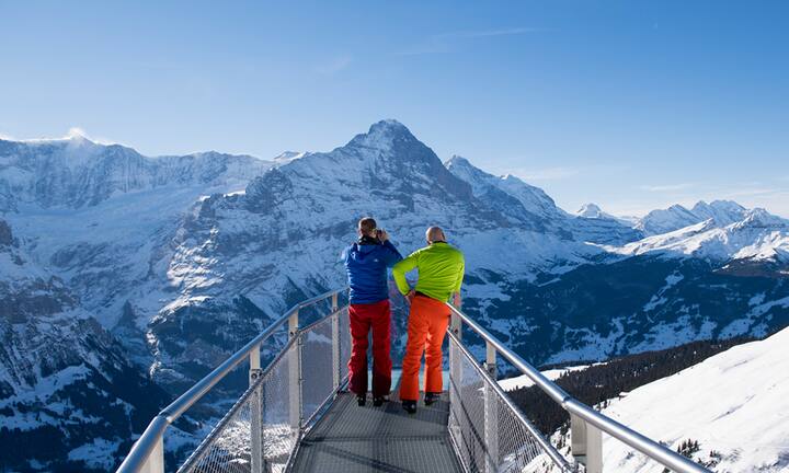 Die Schweizer Berge