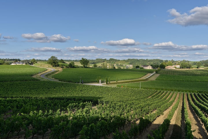 <p>Reben, so weit das Auge reicht: Wer hier einkehrt, ist umgeben von sanften Hügeln und den besten Rebbergen des Saint-Émilion, seit 1999 Welt-UNESCO-Kulturerbe.</p>