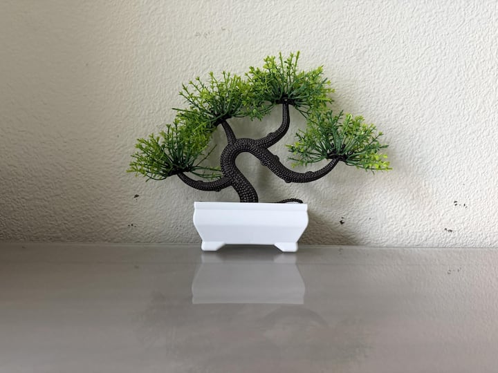 <p>Die Deko gibt es kostenlos dazu: Ein Bonsaibaum aus Plastik.</p>