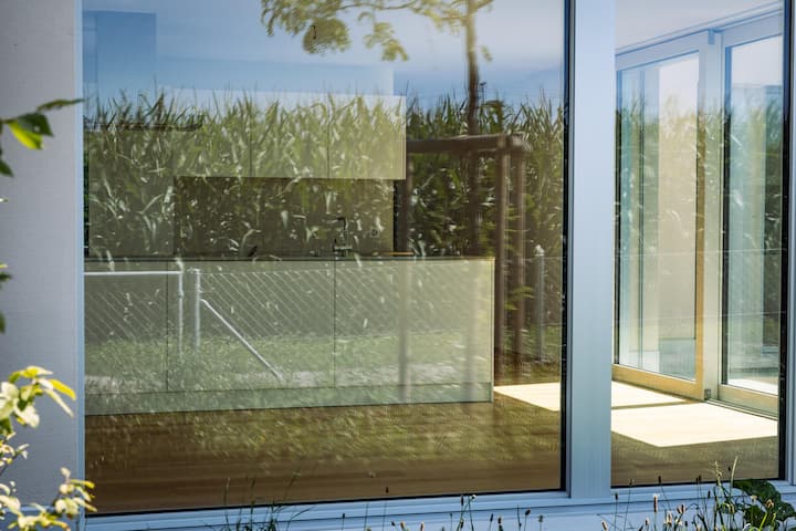 <p>... die modernen Neubauküchen unbenutzt.</p>