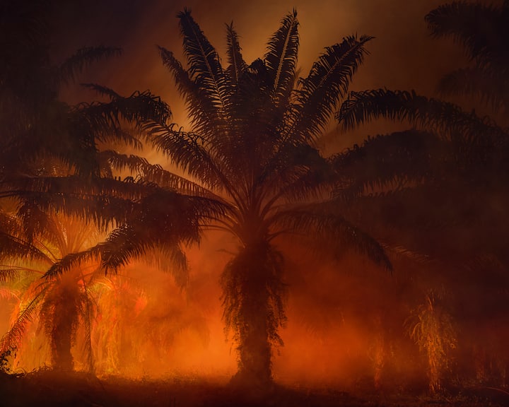 Julian Charrière: «An Invitation to Disappear – Nagan Raya», 2018. Archiv-Pigmentdruck auf Hahnemühlepapier, 150×187,5 cm, 22 000 Euro.