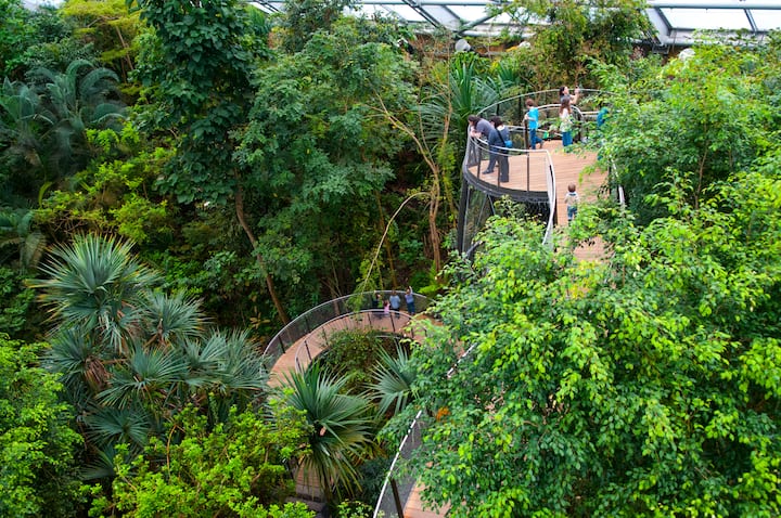 Baumkronenweg im Zoo Zürich