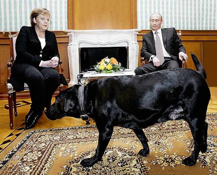 Russian President Vladimir Putin (R) and German Chancellor Angela Merkel are watched by Putin's dog Koni as they address journalists after their working meeting at the Bocharov Ruchei residence in Sochi, 21 January 2007. German Chancellor Angela Merkel arrived here for talks with President Vladimir Putin expected to focus on securing guarantees for energy supplies to the European Union, a Kremlin official said. AFP PHOTO / PRESIDENTIAL PRESS SERVICE / ITAR-TASS (Photo by DMITRY ASTAKHOV / ITAR-TASS / AFP)