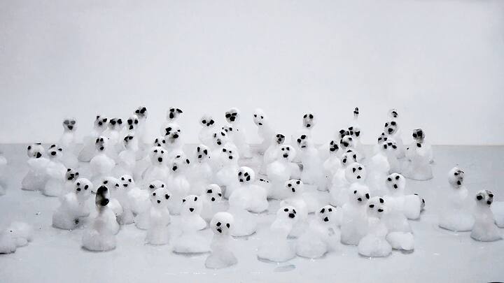 Great White, Videoprojektion, 2017/18, Ursula Palla > Videostill; Ursula Palla Empty Garden 2, Videoinstallation, 2020, Ursula Palla > Foto; Ursula Palla Listen to the Flowers, Aluminium und Bronze mit Waffenstahl, 2022, Ursula Palla > Foto Ursula Palla