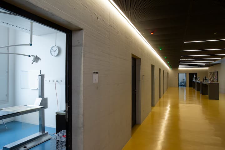 Der Look der Kleintierklinik ist hochmodern und bis ins Detail durchdacht – bis hin zur Farbgebung.