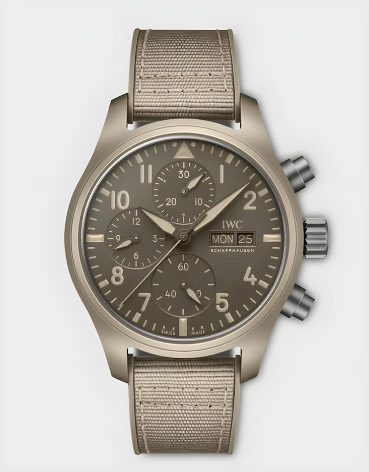 IWC.jpg