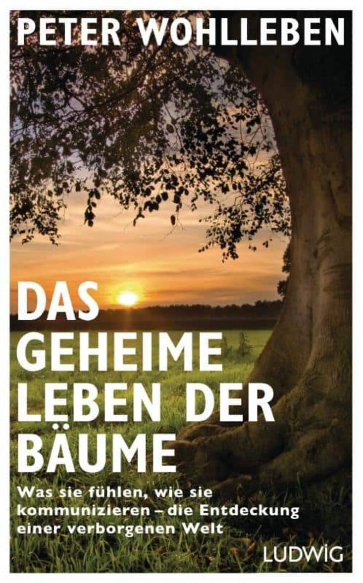 «Das geheime Leben der Bäume», Peter Wohlleben, Ludwig Verlag 2015, 223 Seiten