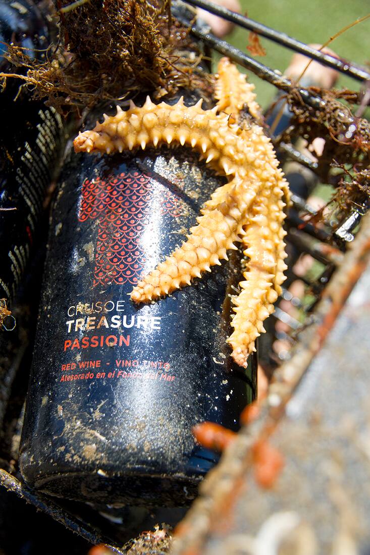 CRUSOE TREASURE SEA LEGEND N°5 VIOGNIER, bei Flaschenpost.ch, 177.90 Franken.