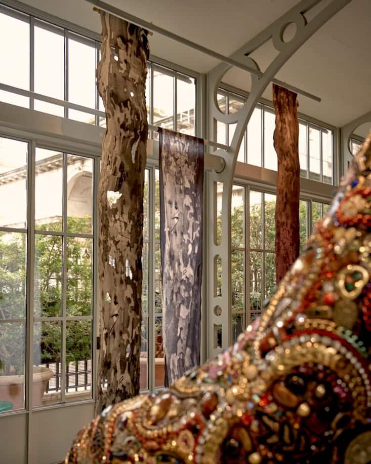 Im Gewächshaus der Giardini Reali lassen fünf Kunstschaffende die Grenzen zwischen Natur, Fantasie und Realität verschwimmen.