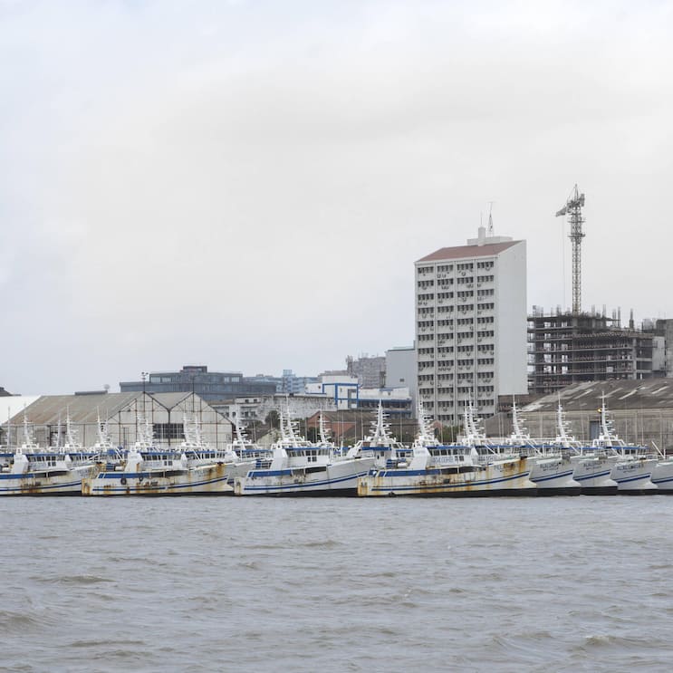 <p>CS-Milliardenkredit für Fisch­fangflotte: Die Schiffe verrosten heute im Hafen von Maputo.</p>