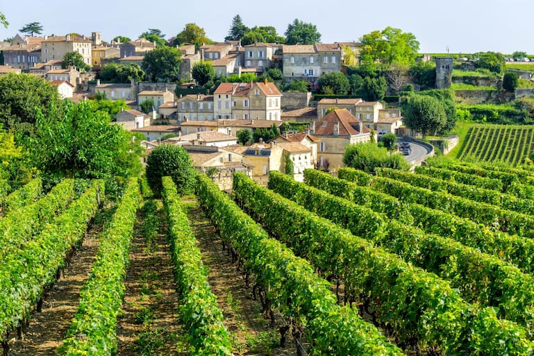 Saint-Émilion ist mit 2'082 Hektar (Stand 2025) die grösste Weinbaugemeinde in der Gironde.