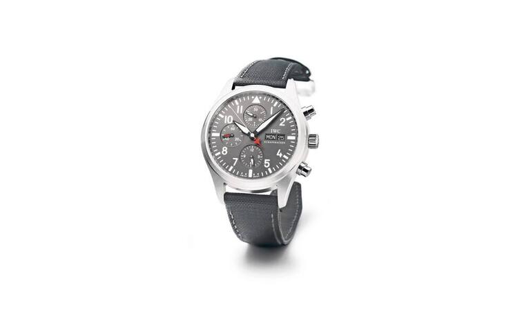 2_iwc_ps_2011.jpg