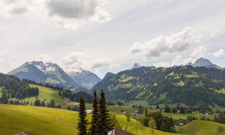 ev_chalet_colombe-1391.jpg