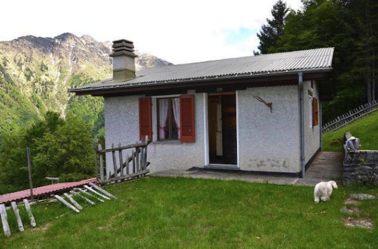 Zum Anwesen gehören ein 3,5-Zimmer-Haus, ein Holzschuppen und ein grosses Grundstück rundherum.