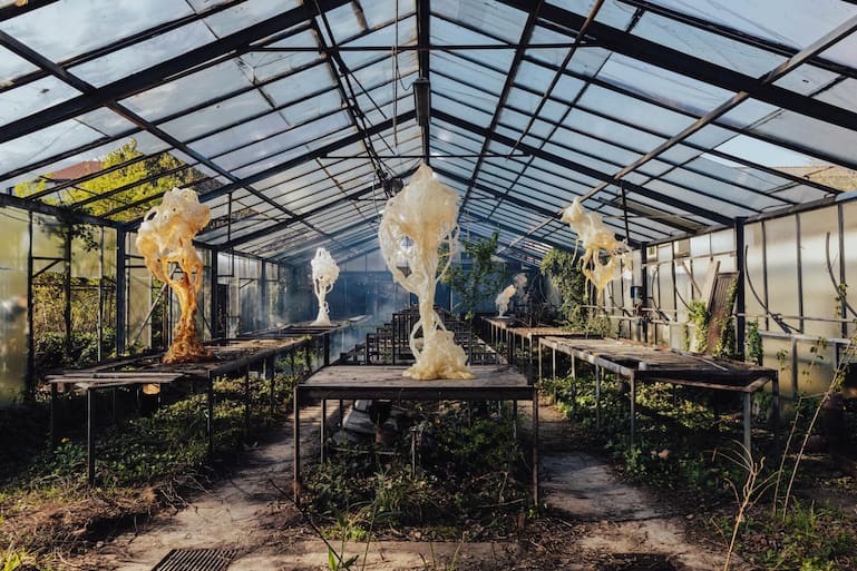 Alcova: «Ghost Orchid» hiess die immersive Installation mit 3D-gedruckten Skulpturen vom polnischen Künstler Marcin Rusak.