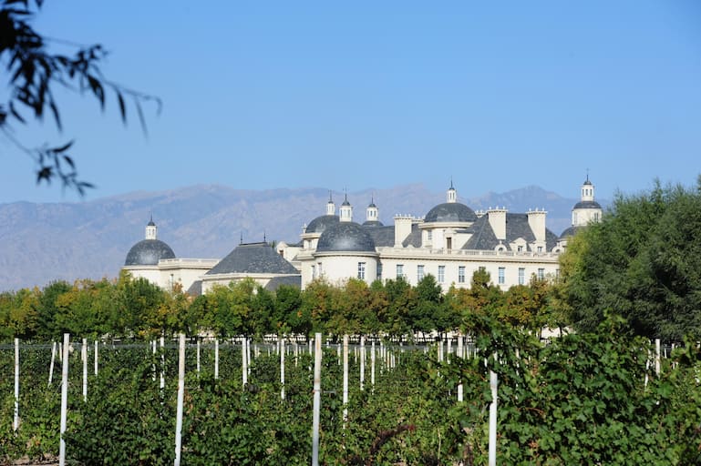 Auf Château Changyu Moser XV werden rund 250 Hektar Cabernet Sauvignon auf einer Höhe von 1'200 Meter über Meer angebaut. Weil es im Winter bis zu minus 25 Grad kalt wird, werden die Rebstöcke zu ihrem Schutz eingegraben.