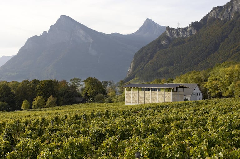 Die von den Architekten Valentin Bearth, Andrea Deplazes und Daniel Ladner gebaute Kelter- und Degustierhalle mit perfekten Bedingungen für den Gärprozess der Trauben.