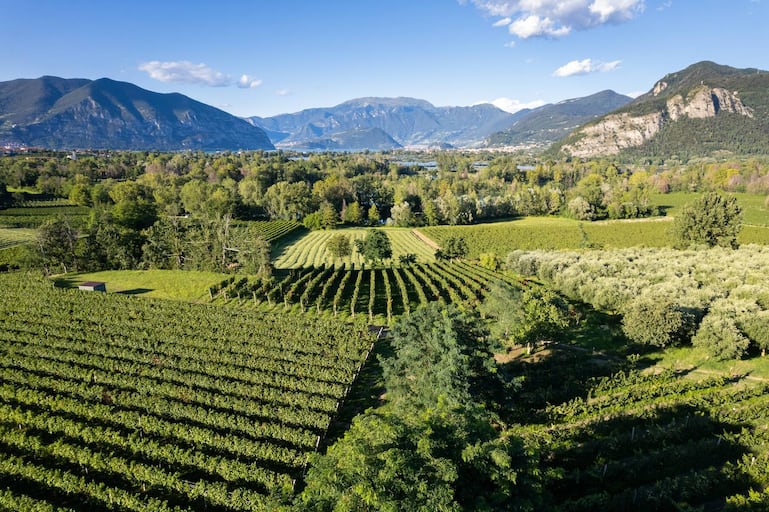 Die lombardische Weinregion Franciacorta produziert edle Schaumweine