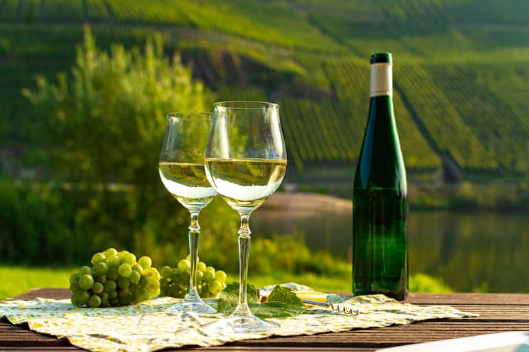 Die Cool-Climate-Sorte liebt steile Hänge über Flusstälern, wie hier an der Mosel.