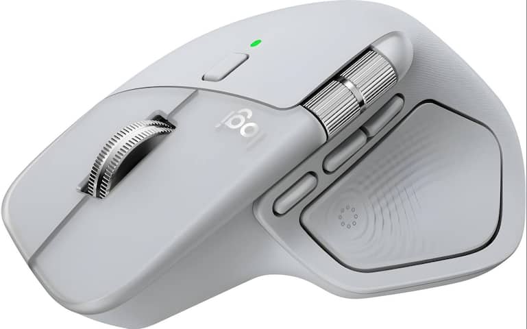 Maus
