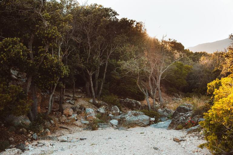 Sardinien
